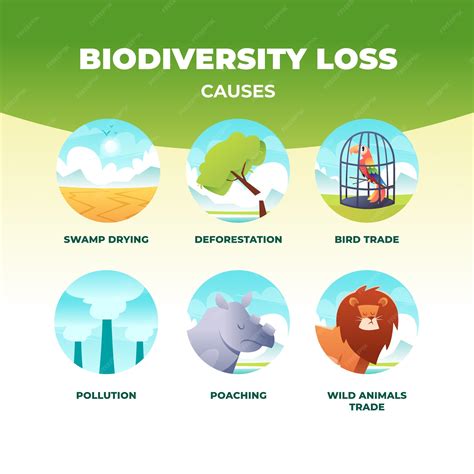 Habitat and Biodiversity Loss - Our Shared Seas - raincitystudios.com