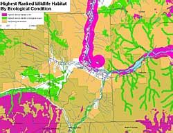 Habitat by Ecological Condition - State of New … - wintechmobiles.com