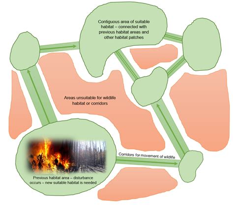 Habitat connectivity in biodiversity conservation: - wintechmobiles.com