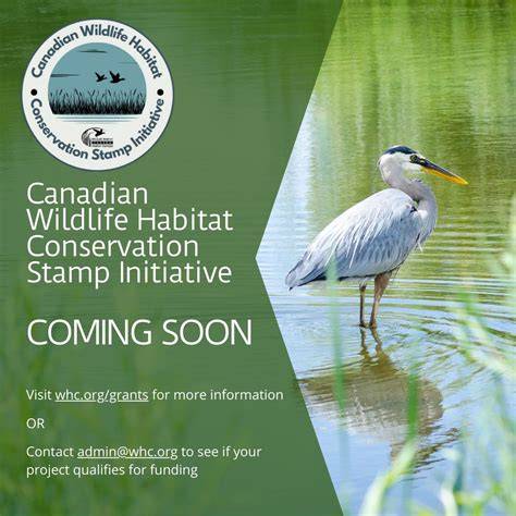 Habitat Conservation Projects-Washington Wildlife and … - raincitystudios.com