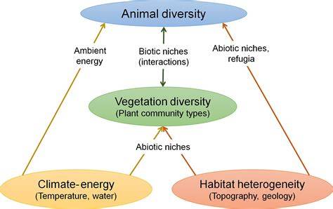 Habitat heterogeneity and biotic interactions mediate climate ... - raincitystudios.com