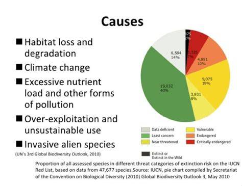 Habitat Loss: Understanding Its Causes and … - raincitystudios.com