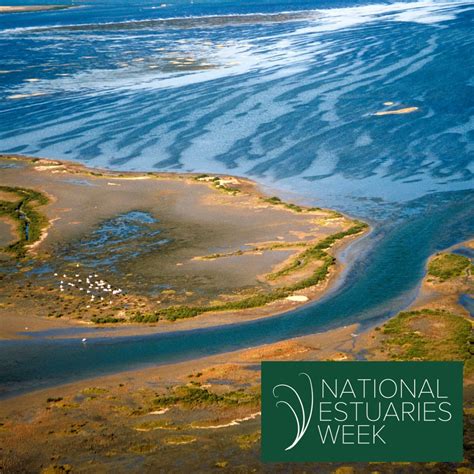 Habitat Plans from the National Estuary Program | US … - raincitystudios.com