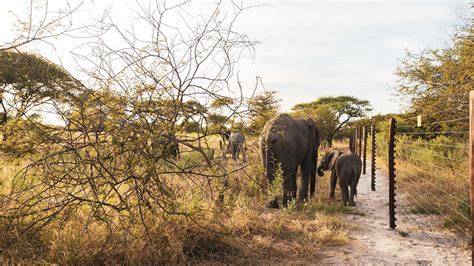 Habitat Protection & Restoration Strategy - raincitystudios.com