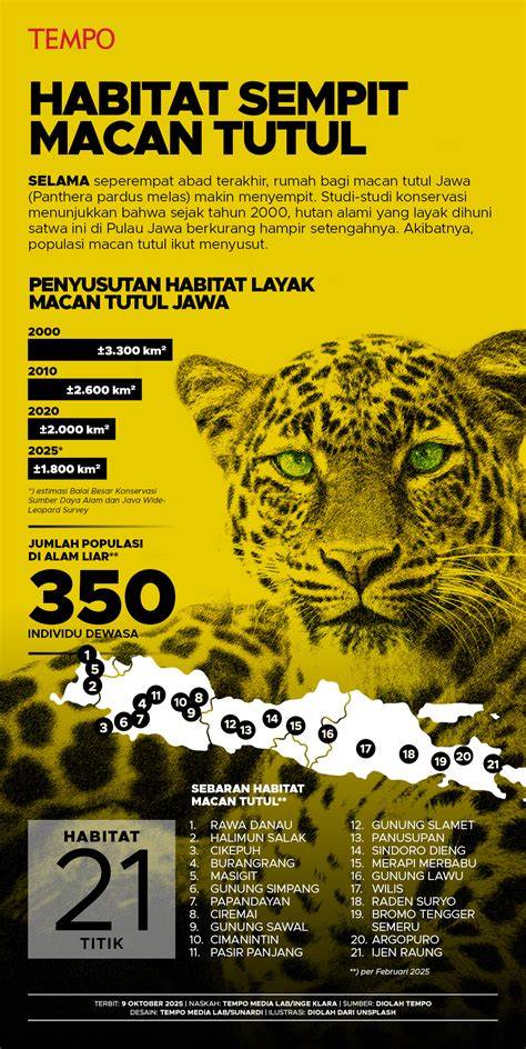 Habitat Sempit Populasi Macan Tutul Susut - raincitystudios.com