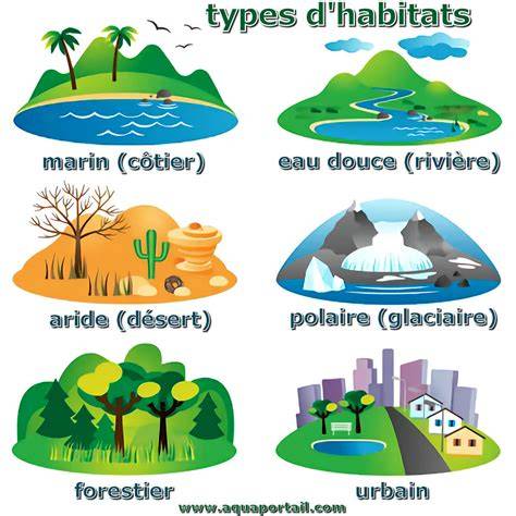Habitats | FWC - Florida Fish and Wildlife Conservation Commission - raincitystudios.com