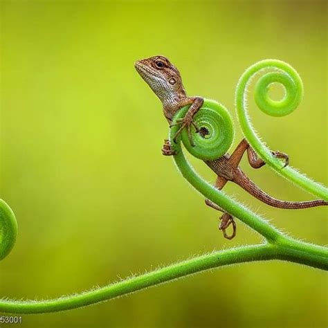 Hadrani Hasan on Instagram: "Tehnik stacking, salah 1 yg dibutuhkan ... - balustradellc