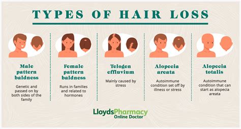 Hair loss: Who gets and causes - American Academy … - balustradellc