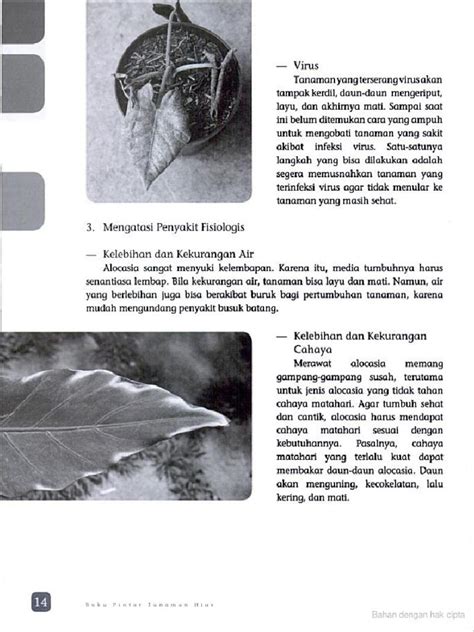 Halaman 19 - Gratis Contoh CV Minimalis Keren - balustradellc