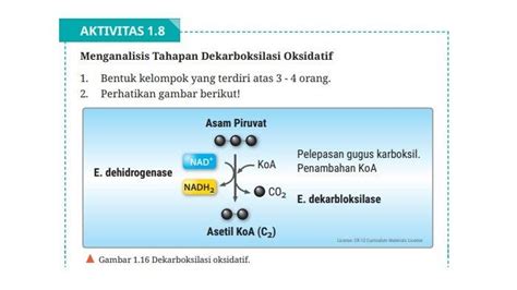 Halaman 21 - Tanah Dijual di Cianjur | Harga Terbaru 2026 - coolestguyplanet.net