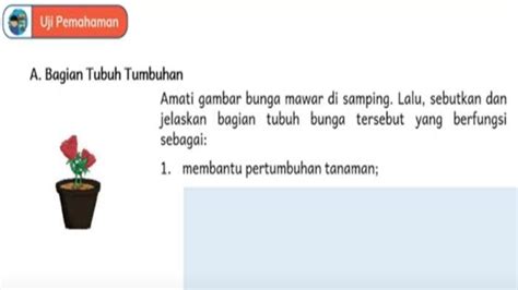 Halaman 31 - Jual Tanah Bersertifikat SHM di Pondok Indah, Jakarta ... - balustradellc