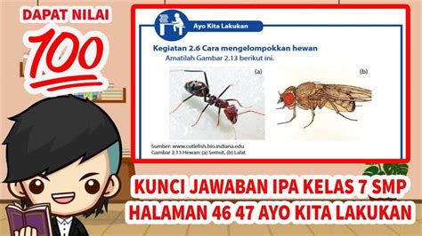 Halaman 46 - Jual Rumah Tipe 90 di Batam Dengan Harga … - balustradellc