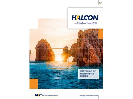 HALCON 20.11 - DAHENG IMAGING