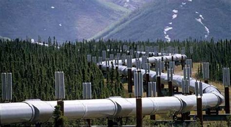 veodersti.rgarabwor.edu.pl. 