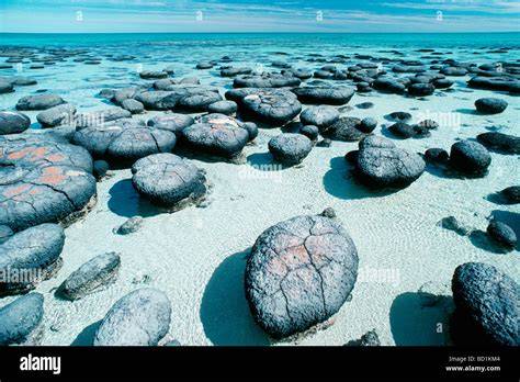 Hamelin Pool Marine Nature Reserve - raincitystudios.com