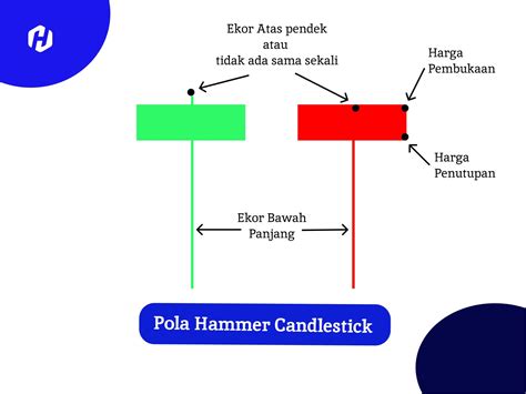 Hammer Artinya Apa - balustradellc