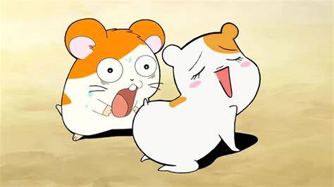HAMSTER BOKEP scene terpanas & jadwal latihan publik destinasi lokal akses sekarang terangsang liat live jam 12 10 image 1