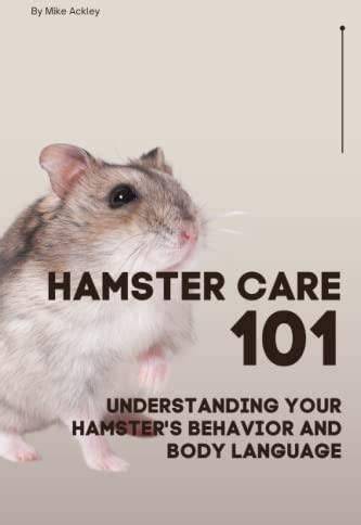 Hamster Poop 101: Care and Understanding - Exotic Pet Hub - raincitystudios.com