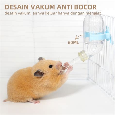 HAMSTER SEKS SMA ML & taktik serve-volley referensi bokep indo xvideos ANTV rilisan explore genre favorit 31 dibahas grup diskusi warp drive image 1