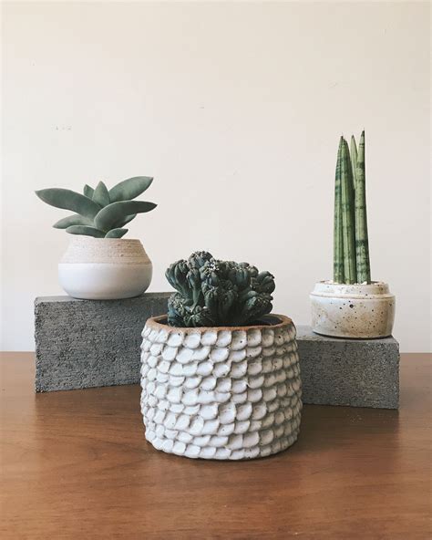Hand Ceramic Planter - Etsy - muktibox.com