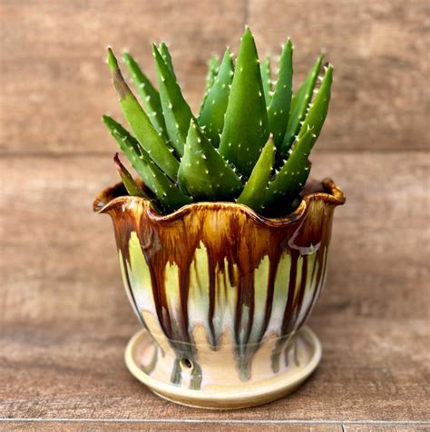 Hand Made Ceramic Planter - Etsy - muktibox.com