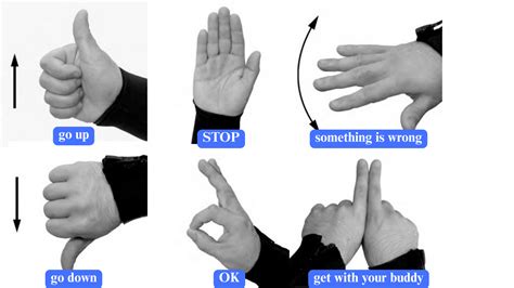 Hand Signal dalam Menyelam: Cara Efektif … - balustradellc