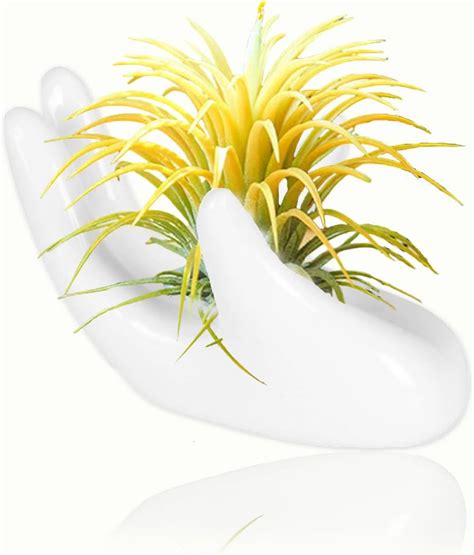 Hand-Shaped Air Plant Holder - Ceramic Mini Stand for … - muktibox.com