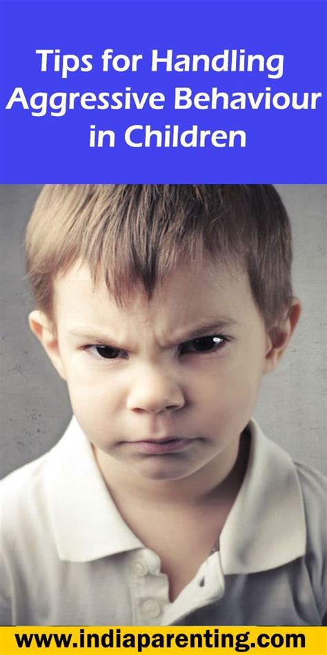 Handling Aggressive Behaviour in Toddlers - balustradellc