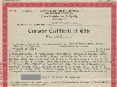 Handling Disputed Land Title Philippines - RESPICIO & CO. - balustradellc