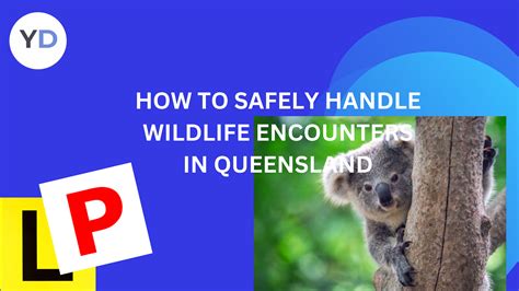 Handling Wildlife Encounters: Essential Tips for … - balustradellc