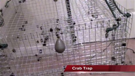 Handmade Fishing traps, crab traps - balustradellc
