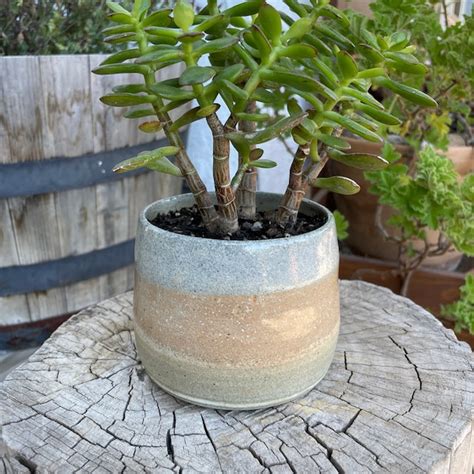 Handmade Planter - Etsy - muktibox.com