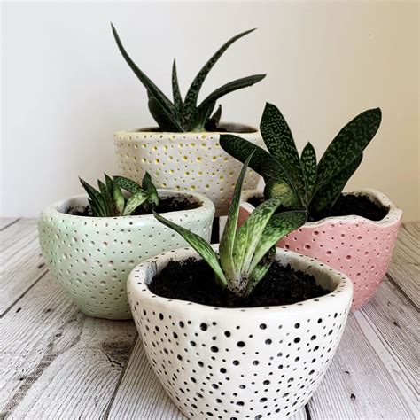 Handmade Pottery Planters - Etsy - muktibox.com