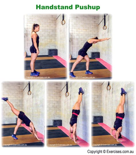 Handstand Pushups: The Secret to Winning Pushup Contests - balustradellc
