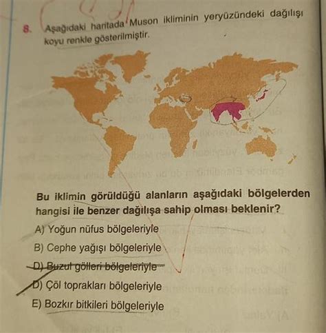 veodersti.rgarabwor.edu.pl. 