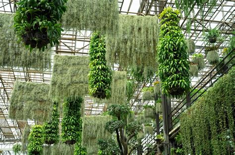 Hanging Garden - wintechmobiles.com