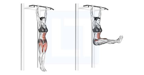 Hanging Leg Raise | Exercise Guides | Boostcamp - balustradellc
