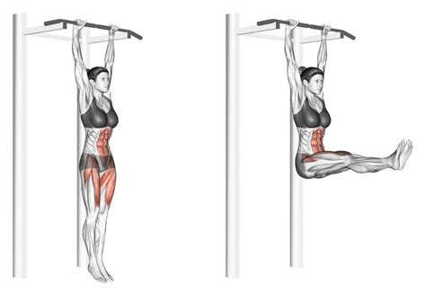 Hanging Leg Raise | HOW-TO - balustradellc