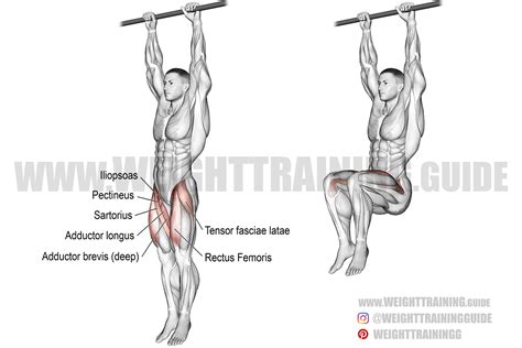 Hanging Leg Raise Techniques for a Stronger Core - balustradellc