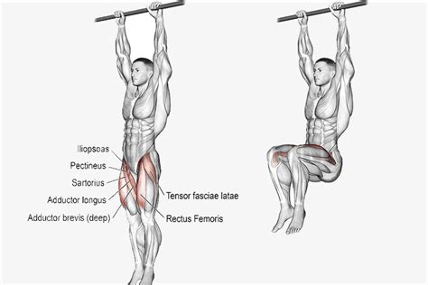 Hanging Leg Raises | CALISTHENICS Workouts - balustradellc