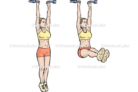 Hanging leg raises Exercise – Sports and Martial Arts - balustradellc