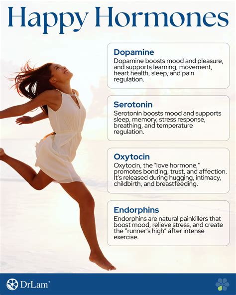 Happy Hormones: What They Are and How to Boost … - balustradellc