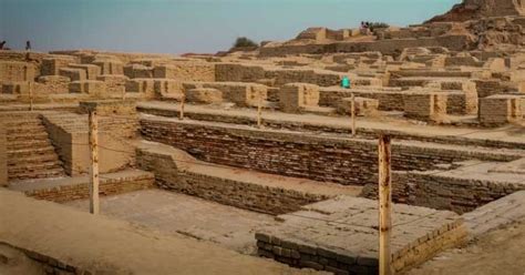 Harappa - wintechmobiles.com