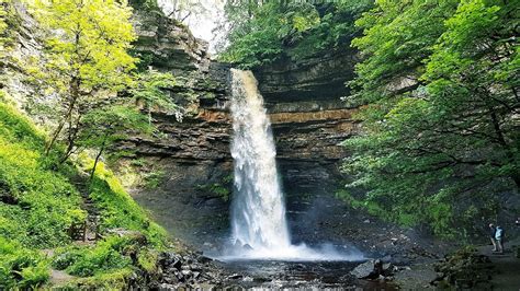 HARDRAW FORCE (Hawes) - 2024 What to Know BEFORE You Go