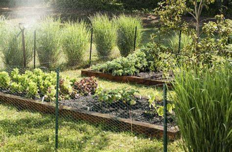 Hardscaping 101: Edible Gardens - Gardenista - raincitystudios.com