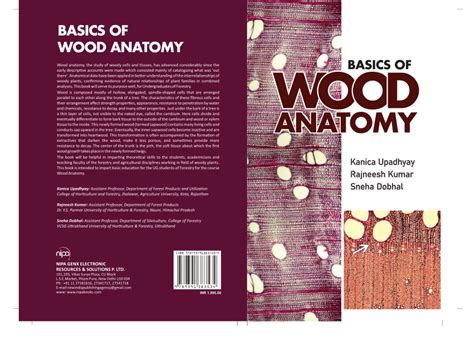 Hardwood Anatomy - The Wood Database - muktibox.com
