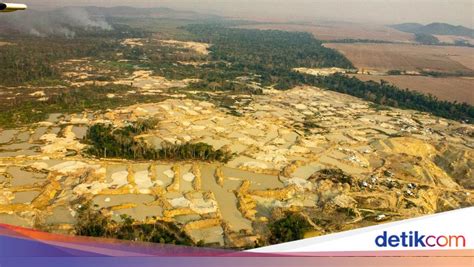 Harga Emas Melonjak, Tambang Emas Ilegal Meluas - balustradellc