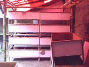 Harga Jangkrik ~ Petani Jangkrik - balustradellc