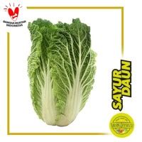 Harga NONE Sawi Putih 100 gr Korea - balustradellc