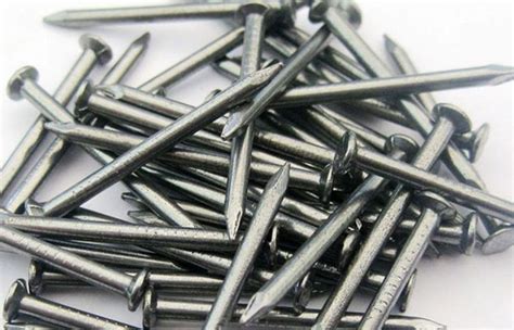 Harga Paku Per Kg Aneka Jenis 2026 - balustradellc